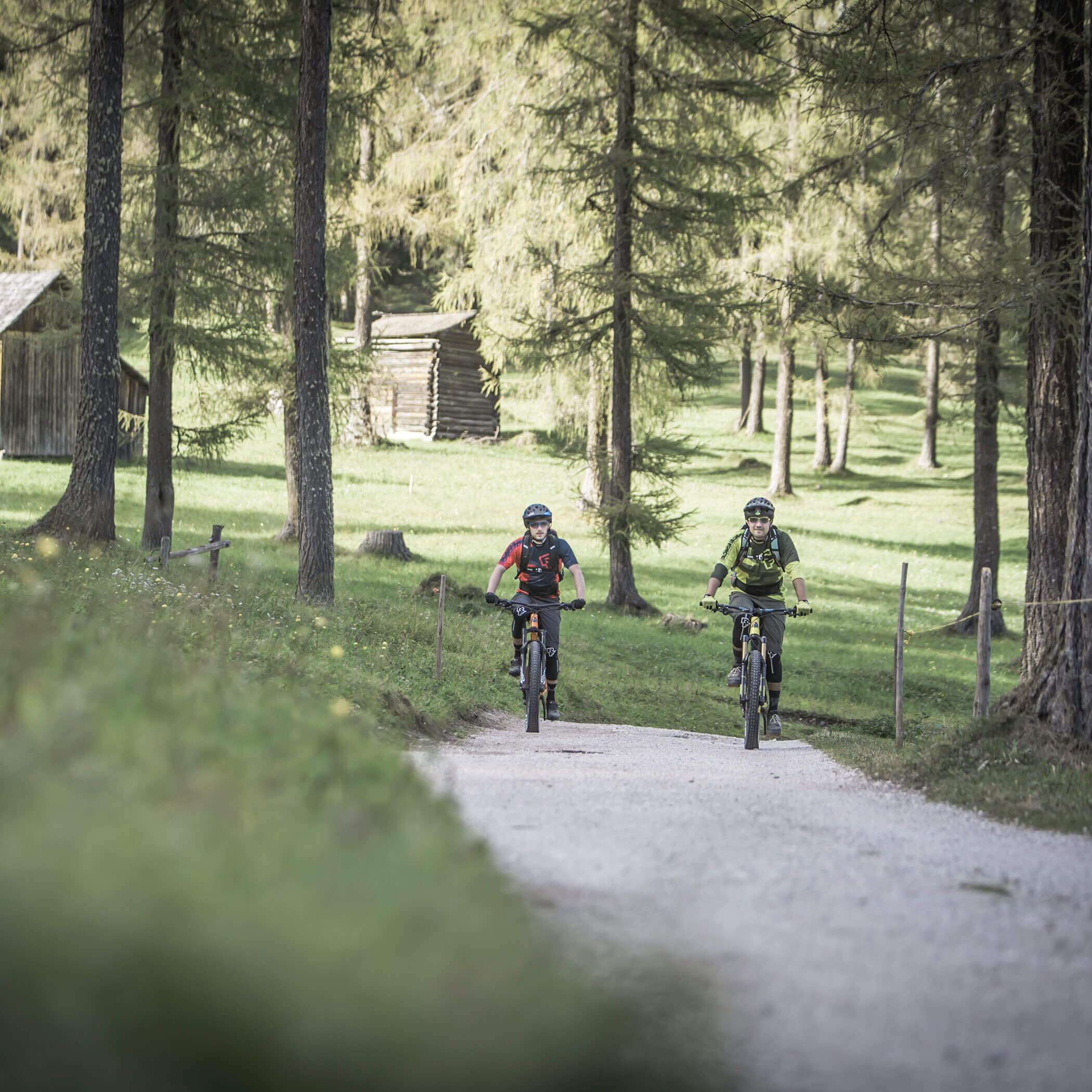 Summer active - mountain biking in Sesto